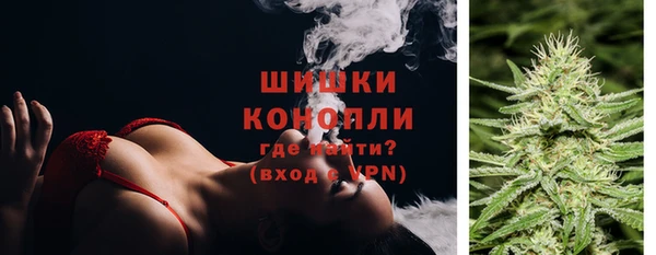ГАЛЛЮЦИНОГЕННЫЕ ГРИБЫ Белоозёрский