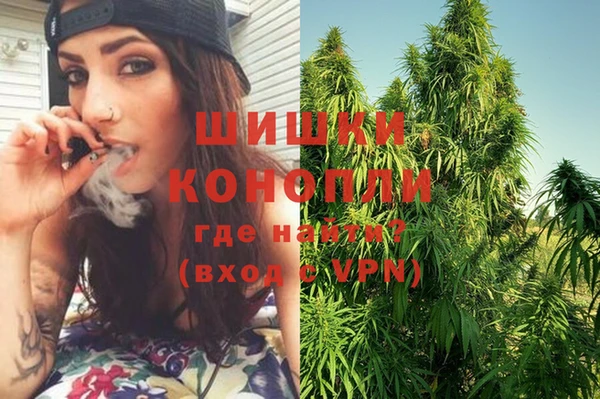ECSTASY Богородицк