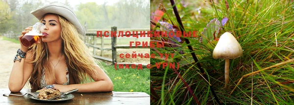 кокаин Богданович