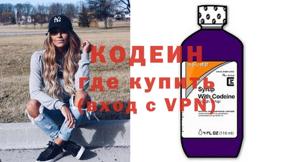 гидра Няндома