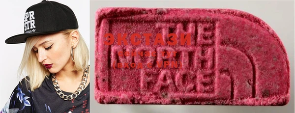 ECSTASY Богородицк